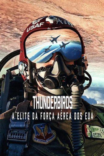 Baixar Thunderbirds: A Elite da Força Aérea dos EUA (2025) 1080p WEB-DL Dual Áudio Torrent